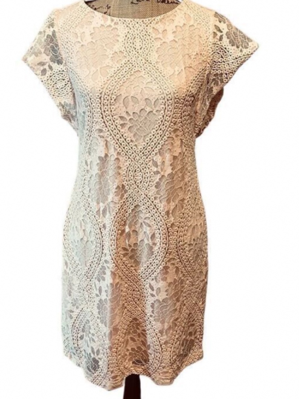 Cato Pink Lace Sheath Dress Size 4 Elegant Sleeveless Cocktail Dress